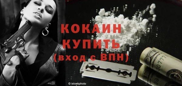 ECSTASY Богданович
