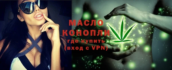 ECSTASY Богданович