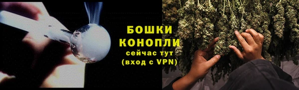 МДПВ Бежецк