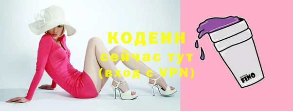 ECSTASY Богданович