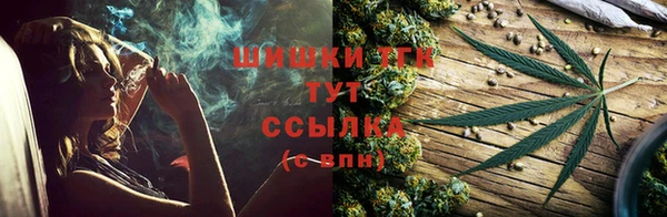 мдпв Бронницы