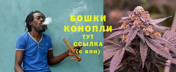 мдпв Бронницы