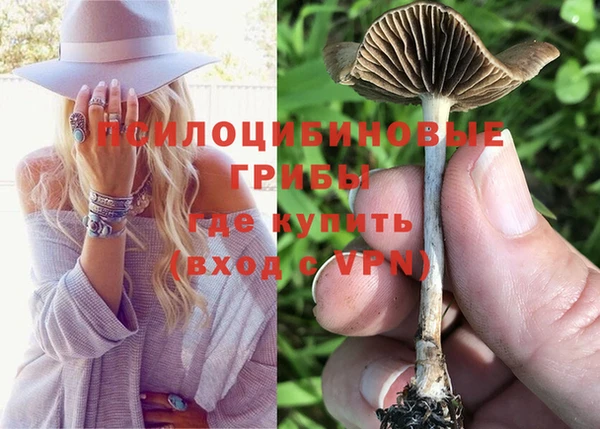 ECSTASY Богданович