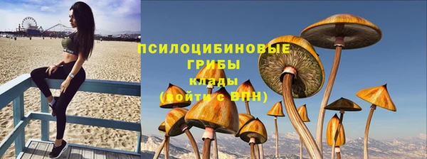 спайс Богородицк